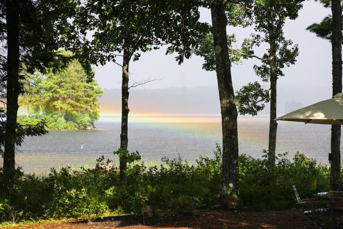 EED4DD25-4FE8-4C3D-9431-A4F3AF0361A1